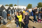 Школярі в гостях на молочній фермі ДП "Мілкіленд-Україна"